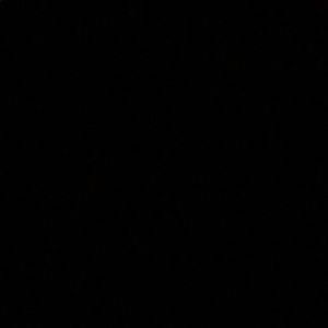 Meet your Posher, Steve